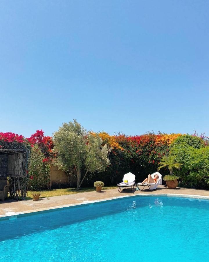 Maison Mimosa, Lovely 3 Bedroom Villa With A Large Pool エッサウィラ エクステリア 写真
