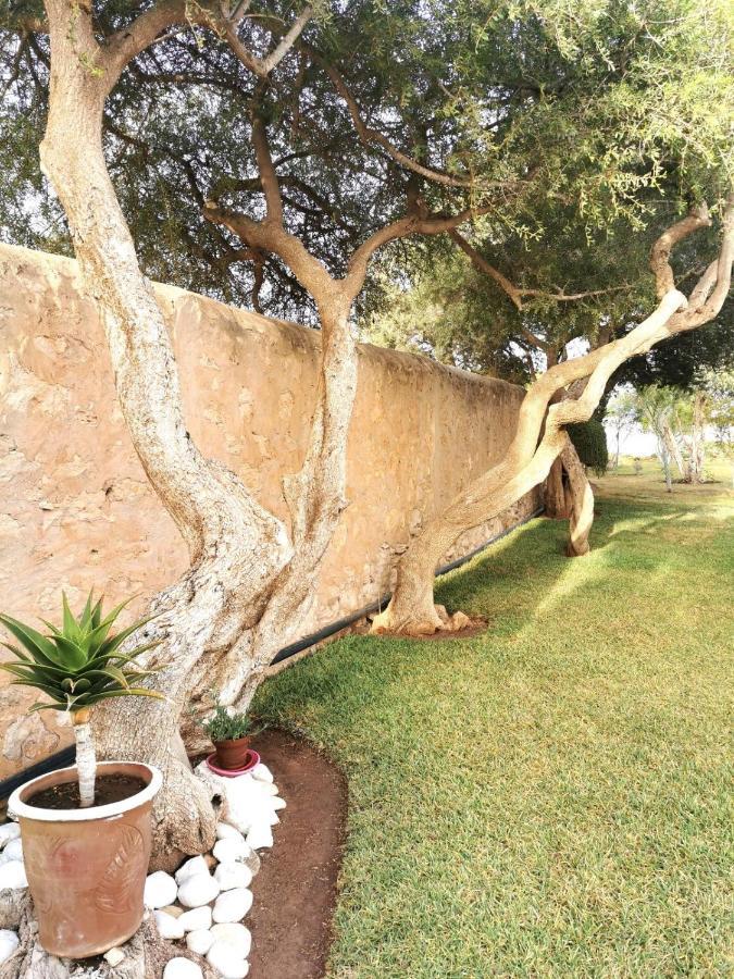 Maison Mimosa, Lovely 3 Bedroom Villa With A Large Pool エッサウィラ エクステリア 写真